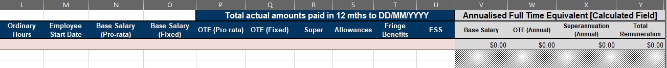 The unique columns of the STP file are ordinary hours, employee start date, base salary (pro-rata and fixed), OTE (pro-rata and fixed), super, allowances, fringe benefits and Employee share schemes