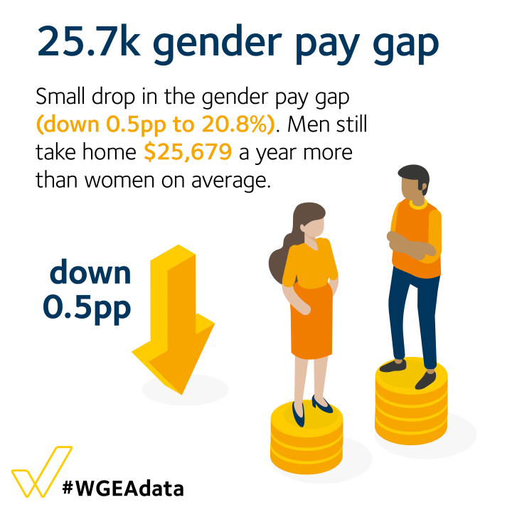 25.7k gender pay gap - small drop in the gender pay gap (down 0.5pp to 20.8%).