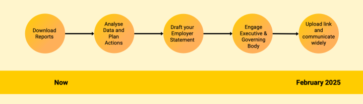 Five circles in a row - with text: Download reports, Analyse Data and Plan Actions, Draft your Employer Statement, Engage Executive & Governing Body and Upload link and communicate widely, on a scale from Now to February 2025.