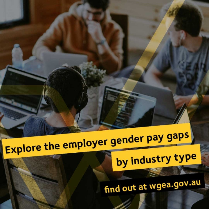 WGEA Explore the gender pay gaps by industry
