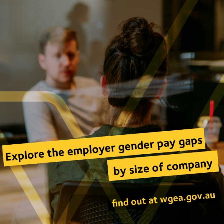 Employer Gender Pay Gaps Social Media Toolkit Wgea