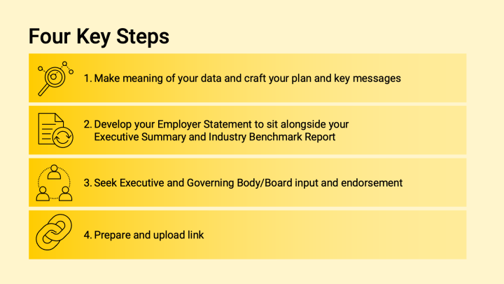 Four key steps: 1 - Make meaning of your data and craft your plan and key messages, 2 - develop your Employer Statement to sit alongside your Executive Summary and Industry Benchmark Report 3- Seek Executive and Governing Body/Board input and endorsement 4- Prepare and upload link