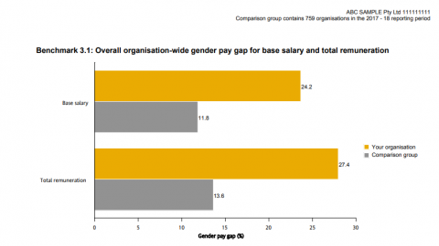 Example benchmark report gender pay gap
